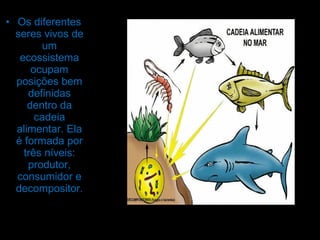 • Os diferentes
seres vivos de
um
ecossistema
ocupam
posições bem
definidas
dentro da
cadeia
alimentar. Ela
é formada por
três níveis:
produtor,
consumidor e
decompositor.
 