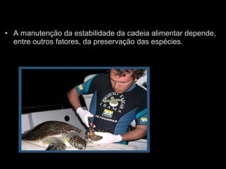 • A manutenção da estabilidade da cadeia alimentar depende,
entre outros fatores, da preservação das espécies.
 