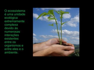 O ecossistema
é uma unidade
ecológica
extremamente
complexa
devido às
numerosas
interações
existentes
entre os
organismos e
entre eles e o
ambiente.
 