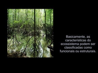 Basicamente, as
características do
ecossistema podem ser
classificadas como
funcionais ou estruturais.
 
