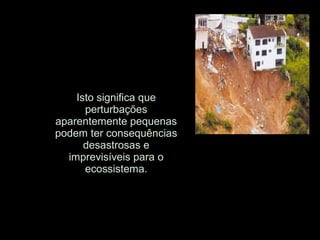 Isto significa que
perturbações
aparentemente pequenas
podem ter consequências
desastrosas e
imprevisíveis para o
ecossistema.
 