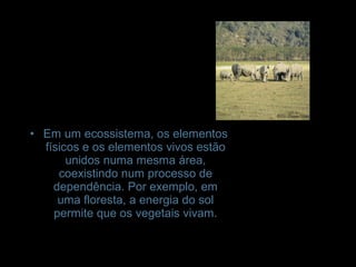 • Em um ecossistema, os elementos
físicos e os elementos vivos estão
unidos numa mesma área,
coexistindo num processo de
dependência. Por exemplo, em
uma floresta, a energia do sol
permite que os vegetais vivam.
 