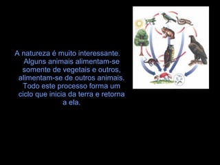 A natureza é muito interessante.
Alguns animais alimentam-se
somente de vegetais e outros,
alimentam-se de outros animais.
Todo este processo forma um
ciclo que inicia da terra e retorna
a ela.
 
