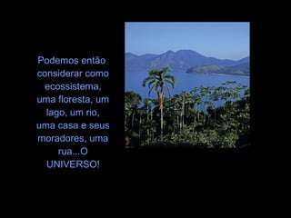 Podemos então
considerar como
ecossistema,
uma floresta, um
lago, um rio,
uma casa e seus
moradores, uma
rua...O
UNIVERSO!
 
