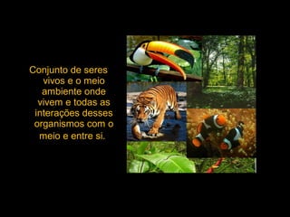 Conjunto de seres
vivos e o meio
ambiente onde
vivem e todas as
interações desses
organismos com o
meio e entre si.
 