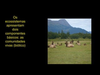 A
Os
ecossistemas
apresentam
dois
componentes
básicos: as
comunidades
vivas (biótico)
 