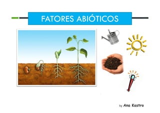 FATORES ABIÓTICOS
by
Ana Kastro