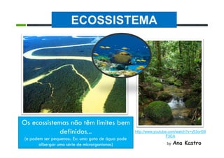 ECOSSISTEMA
Os ecossistemas não têm limites bem
definidos...
(e podem ser pequenos:. Ex: uma gota de água pode
albergar uma série de microrganismos)
http://www.youtube.com/watch?v=y53orG9
F3CA
by
Ana Kastro