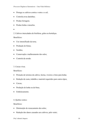 Processos Orgânicos Sustentáveis – Uma Visão Holística
Prof. Adoniel Amparo 36
 Protege os cultivos contra o vento e o sol;
 Controla ervas daninhas;
 Produz forragem;
 Produz lenha e mourões.

2. Cultivos intercalados de frutíferas, grãos ou hortaliças.
Benefícios:
 Uso intensificado da terra;
 Produção de frutas;
 Sombra;
 Conservação e melhoramento dos solos;
 Controle da erosão.
3. Cercas vivas.
Benefícios:
 Proteção de terrenos de cultivo, hortas, viveiros e lotes para lenha;
 Redução de custo, trabalho e material requeridos para outros tipos;
 Cercas;
 Produção de lenha ou de fruta;
 Embelezamento.
4. Quebra-ventos:
Benefícios:
 Diminuição do ressecamento dos solos;
 Redução dos danos causados aos cultivos, pelo vento;
 