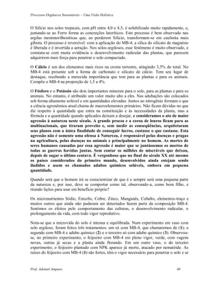 Processos Orgânicos Sustentáveis – Uma Visão Holística
Prof. Adoniel Amparo 40
O Silício nos solos tropicais, com pH entre 4,0 e 4,5, é solubilizado muito rapidamente, e,
juntando-se ao Ferro forma as concreções lateríticos. Este processo é bem observado nas
argilas montmorilhoníticas que, ao perderem Silício, transformam-se em caulinita mais
gibsita. O processo é reversível: com a aplicação do MB-4, a sílica do silicato de magnésio
é liberada e é invertida a aeração. Nos solos argilosos, esse fenômeno é muito observado, e
constata-se com muita evidência o desenvolvimento radicular das plantas, que parecem
adquirirem mais força para penetrar o solo compactado.
O Cálcio é um dos elementos mais ricos na crosta terrestre, atingindo 3,5% do total. No
MB-4 está presente sob a forma de carbonato e silicato de cálcio. Tem seu lugar de
destaque, recebendo a merecida importância que tem para as plantas e para os animais.
Compõe o MB-4 na proporção de 1,5 a 4%.
O Fósforo e o Potássio são dois importantes minerais para o solo, para as plantas e para os
animais. No entanto, é atribuído um valor muito alto a eles. Nas adubações são colocados
sob forma altamente solúvel e em quantidades elevadas. Juntos ao nitrogênio formam o que
a ciência agronômica atual chama de macroelementos primários. Não ficam dúvidas no que
diz respeito à quantidade que entra na constituição e às necessidades da planta, mas a
fórmula e a quantidade quando aplicados deixam a desejar, e consideramos o ato de maior
agressão à natureza neste século. A grande proeza e a coroa de louros ficam para as
multinacionais, que tiraram proveito e, sem medir as conseqüências, arquitetaram
seus planos com a única finalidade de conseguir lucros, custasse o que custasse. Esta
agressão não é somente uma ofensa à Natureza, é responsável pelas doenças e pragas
na agricultura, pelas doenças no animais e principalmente no homem. As mortes de
seres humanos causadas por essa agressão é maior que se juntássemos os mortos de
todas as guerras havidas juntas. Sem contar os milhões de miseráveis que deixou,
depois de sugar o último centavo. É vergonhoso que no final do século XX até mesmo
os países considerados do primeiro mundo, desenvolvidos ainda estejam sendo
iludidos e usem os chamados adubos químicos solúveis, embora em pequena
quantidade.
Quando será que o homem irá se conscientizar de que é e sempre será uma pequena parte
da natureza e, por isso, deve se comportar como tal, observando-a, como bom filho, e
tirando lições para usar em benefício próprio?
Os micronutrientes Sódio, Enxofre, Cobre, Zinco, Manganês, Cobalto, elementos-traço e
muitos outros que ainda não puderam ser detectados fazem parte da composição MB-4.
Sentimos os efeitos pelo comportamento das culturas, o desenvolvimento radicular, o
prolongamento da vida, com todo vigor reprodutivo.
Nota-se que a microvida do solo é intensa e equilibrada. Num experimento em vaso com
solo argiloso, foram feitos três tratamentos: um só com MB-4, que chamaremos de (1); o
segundo com MB-4 e adubo químico (2) e o terceiro só com adubo químico (3). Observou-
se, no primeiro experimento, o feijoeiro com MB-4 em pleno vigor, verde, com vagens
novas, outras já secas e a planta ainda florando. Em um outro vaso, o do terceiro
experimento, o feijoeiro plantado com NPK aparece já morto, atacado por nematóide. As
raízes do feijoeiro com MB-4 (1) são fortes, têm o vigor necessário para penetrar o solo e se
 