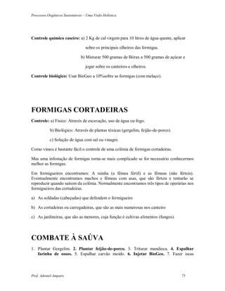 Processos Orgânicos Sustentáveis – Uma Visão Holística
Prof. Adoniel Amparo 75
Controle químico caseiro: a) 2 Kg de cal virgem para 10 litros de água quente, aplicar
sobre os principais olheiros das formigas.
b) Misturar 500 gramas de Bórax a 500 gramas de açúcar e
jogar sobre os canteiros e olheiros.
Controle biológico: Usar BioGeo a 10%sobre as formigas (com melaço).
FORMIGAS CORTADEIRAS
Controle: a) Físico: Através de escavação, uso de água ou fogo.
b) Biológico: Através de plantas tóxicas (gergelim, feijão-de-porco).
c) Solução de água com sal ou vinagre.
Como vimos é bastante fácil o controle de uma colônia de formigas cortadeiras.
Mas uma infestação de formigas torna-se mais complicado se for necessário conhecermos
melhor as formigas.
Em formigueiros encontramos: A rainha (a fêmea fértil) e as fêmeas (não férteis).
Eventualmente encontramos machos e fêmeas com asas, que são férteis e tentarão se
reproduzir quando saírem da colônia. Normalmente encontramos três tipos de operárias nos
formigueiros das cortadeiras.
a) As soldadas (cabeçudas) que defendem o formigueiro
b) As cortadeiras ou carregadeiras, que são as mais numerosas nos canteiro
c) As jardineiras, que são as menores, cuja função é cultivas alimentos (fungos).
COMBATE À SAÚVA
1. Plantar Gergelim. 2. Plantar feijão-de-porco. 3. Triturar mandioca. 4. Espalhar
farinha de ossos. 5. Espalhar carvão moído. 6. Injetar BioGeo. 7. Fazer iscas
 