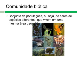 Comunidade biótica
 Conjunto de populações, ou seja, de seres de
espécies diferentes, que vivem em uma
mesma área geográfica.
 