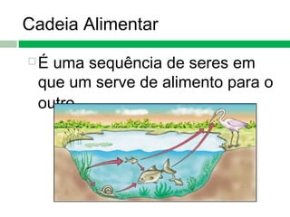 Cadeia Alimentar
 É uma sequência de seres em
que um serve de alimento para o
outro.
 
