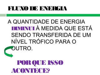 FLUXO DE ENERGIA
A QUANTIDADE DE ENERGIA
DIMINUI À MEDIDA QUE ESTÁ
SENDO TRANSFERIDA DE UM
NÍVEL TRÓFICO PARA O
OUTRO.
PORQUE ISSO
ACONTECE?
 