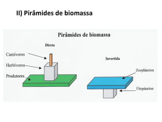 II) Pirâmides de biomassa
 