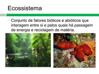 Ecossistema
 Conjunto de fatores bióticos e abióticos que
interagem entre si e pelos quais há passagem
de energia e reciclagem de matéria.
 