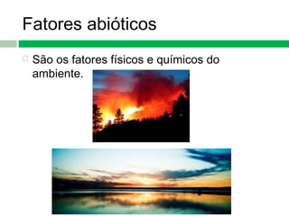 Fatores abióticos
 São os fatores físicos e químicos do
ambiente.
 