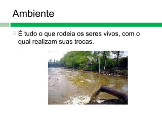 Ambiente
 É tudo o que rodeia os seres vivos, com o
qual realizam suas trocas.
 