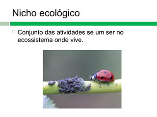Nicho ecológico
 Conjunto das atividades se um ser no
ecossistema onde vive.
 