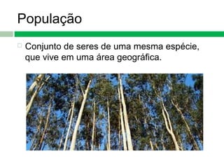 População
 Conjunto de seres de uma mesma espécie,
que vive em uma área geográfica.
 