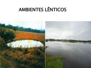 AMBIENTES LÊNTICOS
 