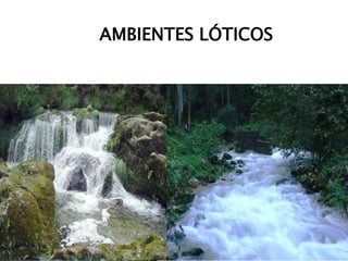 AMBIENTES LÓTICOS
 