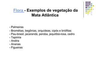 Flora - Exemplos de vegetação da
             Mata Atlântica

- Palmeiras
- Bromélias, begônias, orquídeas, cipós e briófitas
- Pau-brasil, jacarandá, peroba, jequitibá-rosa, cedro
- Tapiriria
- Andira
- Ananas
- Figueiras
 