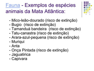 Fauna - Exemplos de espécies
animais da Mata Atlântica:
 - Mico-leão-dourado (risco de extinção)
 - Bugio (risco de extinção)
 - Tamanduá bandeira (risco de extinção)
 - Tatu-canastra (risco de extinção)
 - Arara-azul-pequena (risco de extinção)
 - Muriqui
 - Anta
 - Onça Pintada (risco de extinção)
 - Jaguatirica
 - Capivara
 
