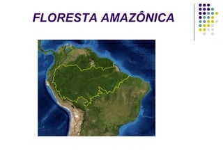 FLORESTA AMAZÔNICA
 