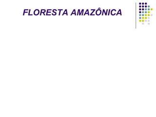 FLORESTA AMAZÔNICA
 
