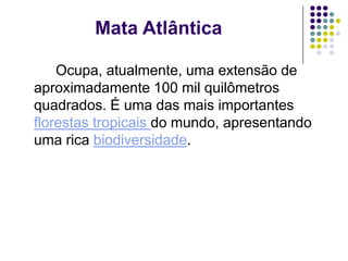 Mata Atlântica

    Ocupa, atualmente, uma extensão de
aproximadamente 100 mil quilômetros
quadrados. É uma das mais importantes
florestas tropicais do mundo, apresentando
uma rica biodiversidade.
 