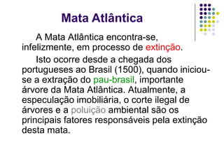 Mata Atlântica
    A Mata Atlântica encontra-se,
infelizmente, em processo de extinção.
    Isto ocorre desde a chegada dos
portugueses ao Brasil (1500), quando iniciou-
se a extração do pau-brasil, importante
árvore da Mata Atlântica. Atualmente, a
especulação imobiliária, o corte ilegal de
árvores e a poluição ambiental são os
principais fatores responsáveis pela extinção
desta mata.
 