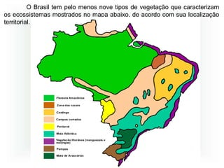 O Brasil tem pelo menos nove tipos de vegetação que caracterizam
os ecossistemas mostrados no mapa abaixo, de acordo com sua localização
territorial.
 