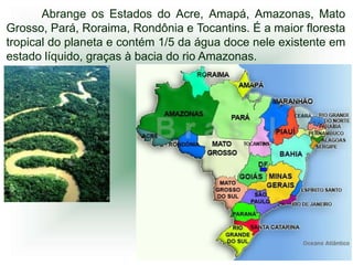 Abrange os Estados do Acre, Amapá, Amazonas, Mato
Grosso, Pará, Roraima, Rondônia e Tocantins. É a maior floresta
tropical do planeta e contém 1/5 da água doce nele existente em
estado líquido, graças à bacia do rio Amazonas.
 