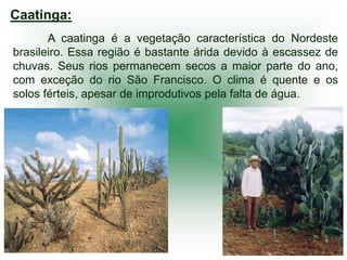 Caatinga:
       A caatinga é a vegetação característica do Nordeste
brasileiro. Essa região é bastante árida devido à escassez de
chuvas. Seus rios permanecem secos a maior parte do ano,
com exceção do rio São Francisco. O clima é quente e os
solos férteis, apesar de improdutivos pela falta de água.
 