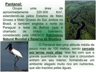 Pantanal:
       Ocupa      uma      área       de
aproximadamente       220.000       Km2,
estendendo-se pelos Estados de Mato
Grosso e Mato Grosso do Sul, ambos no
Brasil, e também engloba o norte do
Paraguai e leste da Bolívia (que é
chamado      de    chaco      boliviano),
considerado pela UNESCO Patrimônio
Natural Mundial e Reserva da Biosfera.
                        O Pantanal tem uma altitude média de
                  pouco mais de 100 metros, sendo cercado
                  por terras mais altas. Isso faz com que a
                  grande quantidade de rios que o circundam
                  entrem em seu interior, formando-se um
                  ambiente alagado muito rico em nutrientes,
                  que são trazidos pelas águas.
 