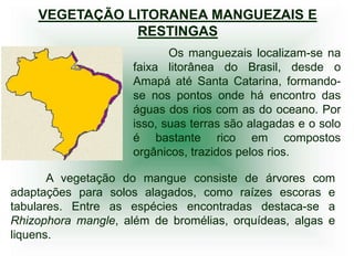 VEGETAÇÃO LITORANEA MANGUEZAIS E
               RESTINGAS
                            Os manguezais localizam-se na
                     faixa litorânea do Brasil, desde o
                     Amapá até Santa Catarina, formando-
                     se nos pontos onde há encontro das
                     águas dos rios com as do oceano. Por
                     isso, suas terras são alagadas e o solo
                     é bastante rico em compostos
                     orgânicos, trazidos pelos rios.

       A vegetação do mangue consiste de árvores com
adaptações para solos alagados, como raízes escoras e
tabulares. Entre as espécies encontradas destaca-se a
Rhizophora mangle, além de bromélias, orquídeas, algas e
liquens.
 