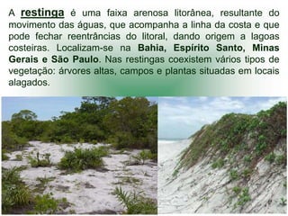 A restinga é uma faixa arenosa litorânea, resultante do
movimento das águas, que acompanha a linha da costa e que
pode fechar reentrâncias do litoral, dando origem a lagoas
costeiras. Localizam-se na Bahia, Espírito Santo, Minas
Gerais e São Paulo. Nas restingas coexistem vários tipos de
vegetação: árvores altas, campos e plantas situadas em locais
alagados.
 