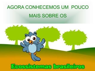 AGORA CONHECEMOS UM POUCO
      MAIS SOBRE OS
 