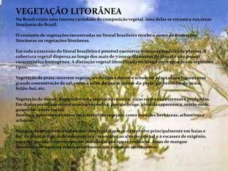 Vegetação Litorânea
VEGETAÇÃO LITORÂNEA
No Brasil existe uma imensa variedade de composição vegetal, uma delas se encontra nas áreas
litorâneas do Brasil.
O conjunto de vegetações encontradas no litoral brasileiro recebe o nome de formações
litorâneas ou vegetações litorâneas.
Em toda a extensão do litoral brasileiro é possível encontrar inúmeras espécies de plantas. A
cobertura vegetal dispersa ao longo dos mais de 7.000 quilômetros de litoral e não possui
característica homogênea. A distinção vegetal identificada no litoral corresponde aos seguintes
tipos:
Vegetação de praia: ocorrem vegetações do tipo arbóreo e arbustivo adaptadas a lugares com
grande concentração de sal, como a salsa-da-praia, grama-da-praia, pinheirinho-da-praia,
feijão-boi, etc.
Vegetação de dunas: desenvolve uma vegetação rasteira, cujas raízes são extensas e profundas.
Em dunas semifixas ocorre aroeira-vermelha, pau-de-bruge, além da capororoca, maria-mole,
guamirim, entre outras.
Restinga: apresenta diversas características vegetais, como espécies herbáceas, arbustivas e
arbóreas.
Mangue: corresponde a uma cobertura vegetal que se desenvolve principalmente em baías e
foz. As plantas típicas de mangues são resistentes ao alto teor de sal e à escassez de oxigênio,
uma vez que são frequentemente inundadas por águas oceânicas. Áreas de mangue
desenvolvem espécies arbóreas (arbustos que possuem raízes aéreas).
 