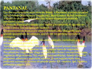PANTANAL
Um dos ecossistemas mais ricos do Brasil, o Pantanal, estende-se pelos
territórios do Mato Grosso (região sul), Mato Grosso do Sul (noroeste).
A época de chuvas e cheias dos rios ocorre durante os meses de
novembro a abril.
O clima do Pantanal é úmido (alto índice pluviométrico), quente no
verão e seco e frio na época do inverno.
O ecossistema do Pantanal é muito diversificado, abrigando uma
grande quantidade de animais, que vivem em perfeito equilíbrio
ecológico.
EX : jacarés, capivaras, peixes (dourado, pintado, curimbatá, pacu),
ariranhas, onça-pintada, ETC..
Assim como ocorre com a vida animal, o Pantanal possui uma extensa
variedade de árvores, plantas, ervas e outros tipos de vegetação.
Nas planícies (região que alaga na época das cheias) encontramos uma
vegetação de gramíneas. Nas regiões intermediárias, desenvolvem-se
pequenos arbustos e vegetação rasteira. Já nas regiões mais altas,
podemos encontrar árvores de grande porte. EX : aroeira, ipê, figueira,
palmeira e angico, ETC.
 