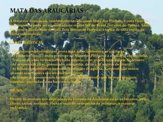 MATA DAS ARAUCÁRIAS
.
A Mata das Araucárias, também conhecida como Mata dos Pinhais, é uma floresta
subtropical e pode ser encontrada na região Sul do Brasil (estados do Paraná, Santa
Catarina e Rio Grande do Sul). Esta formação florestal é típica de uma região de
clima subtropical.
CARACTERÍSTICAS:
- Os pinheiros predominam nesta área, principalmente as coníferas.
- O pinheiro típico e mais presente na Mata dos Pinhais é a araucária augustifolia.
- Trata-se de uma formação fechada e densa, com grande quantidade de árvores.
- As árvores são altas, possuindo, em média, de 20 a 30 metros de altura.
- As folhas dos pinheiros possuem o formato de agulha. A reprodução ocorre
quando as sementes são levadas pelo vento.
- As coníferas possuem um formato triangular. Sendo que no topo são mais
estreitas (pontudas) e na base mais largas.
FAUNA:
Dentre os animais que dependem da Floresta de Araucária estão os tucanos, beija-
flores, saíras, sanhaço, jibóia e mais de 20 espécies de primatas, a maioria
endêmica.
 
