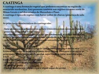 CAATINGA
A caatinga é uma formação vegetal que podemos encontrar na região do
semiárido nordestino. Está presente também nas regiões extremo norte de
Minas Gerais e sul dos estados do Maranhão e Piauí.
A caatinga é típica de regiões com baixo índice de chuvas (presença de solo
seco).
As principais características da caatinga são:
- forte presença de arbustos com galhos retorcidos e com raízes profundas;
- presença de cactos e bromélias;
- os arbustos costumam perder, quase que totalmente, as folhas em épocas
de seca (propriedade usada para evitar a perda de água por evaporação);
- as folhas deste tipo de vegetação são de tamanho pequeno;
Fauna:
A Fauna da caatinga, ao contrário do que muitos pensam, é muito rica.
Existem centenas de espécies vivendo neste bioma. Podemos citar entre as
principais: Veado-catingueiro, gambá, sapo-cururu, cutia, ararinha-azul,
ETC.
Exemplos de vegetação da caatinga:
- Arbustos: aroeira, angico e juazeiro
- Bromélias: caroá
- Cactos: mandacaru, xique-xique e xique-xique do sertão
 