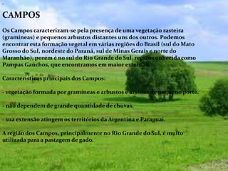 CAMPOS
Os Campos caracterizam-se pela presença de uma vegetação rasteira
(gramíneas) e pequenos arbustos distantes uns dos outros. Podemos
encontrar esta formação vegetal em várias regiões do Brasil (sul do Mato
Grosso do Sul, nordeste do Paraná, sul de Minas Gerais e norte do
Maranhão), porém é no sul do Rio Grande do Sul, região conhecida como
Pampas Gaúchos, que encontramos em maior extensão.
Características principais dos Campos:
- vegetação formada por gramíneas e arbustos e árvores de pequeno porte.
- não dependem de grande quantidade de chuvas.
- sua extensão atingem os territórios da Argentina e Paraguai.
A região dos Campos, principalmente no Rio Grande do Sul, é muito
utilizada para a pastagem de gado.
.
 