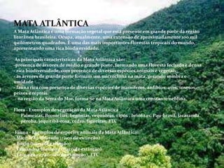 MATA ATLÂNTICA
A Mata Atlântica é uma formação vegetal que está presente em grande parte da região
litorânea brasileira. Ocupa, atualmente, uma extensão de aproximadamente 100 mil
quilômetros quadrados. É uma das mais importantes florestas tropicais do mundo,
apresentando uma rica biodiversidade.
As principais características da Mata Atlântica são:
-presença de árvores de médio e grande porte, formando uma floresta fechada e densa
- rica biodiversidade, com presença de diversas espécies animais e vegetais;
- as árvores de grande porte formam um microclima na mata, gerando sombra e
umidade
- fauna rica com presença de diversas espécies de mamíferos, anfíbios, aves, insetos,
peixes e répteis.
- na região da Serra do Mar, forma-se na Mata Atlântica uma constante neblina.
Flora - Exemplos de vegetação da Mata Atlântica
- Palmeiras, Bromélias, begônias, orquídeas, cipós , briófitas, Pau-brasil, jacarandá,
peroba, jequitibá-rosa, cedro, figueiras, ETC
Fauna - Exemplos de espécies animais da Mata Atlântica:
- Mico-leão-dourado (risco de extinção)
- Bugio (risco de extinção)
- Tamanduá bandeira (risco de extinção)
- Tatu-canastra (risco de extinção), ETC
 