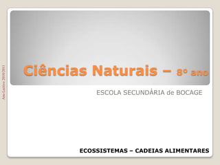 Ciências Naturais – 8º ano ESCOLA SECUNDÁRIA de BOCAGE Ano Lectivo 2010/2011 ECOSSISTEMAS – CADEIAS ALIMENTARES 