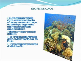 RECIFES DE CORAL é uma estrutura rochosa, rígida, resistente á ação das ondas e correntes marinhas, e construída por organismos marinhos portadores de esqueleto calcário  distribuem-se por cerca de 3.000km ao longo da costa Nordeste, desde o Maranhão até o sul da Bahia  únicos ecossistemas recifais do Atlântico Sul 