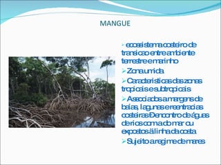 MANGUE ecossistema costeiro de transicao entre ambiente terrestre e marinho Zona umida Caracteristicas das zonas tropicais e subtropicais Associados a margens de baías, lagunas e reentracias costeiras – encontro de águas de rios com a do mar ou expostos ä linha da costa Sujeito a regime de mares 
