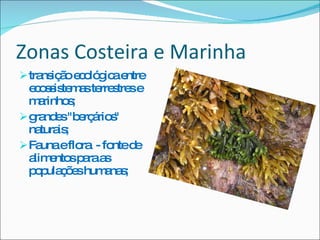 Zonas Costeira e Marinha transição ecológica entre ecossistemas terrestres e marinhos; grandes "berçários" naturais; Fauna e flora  - fonte de alimentos para as populações humanas; 