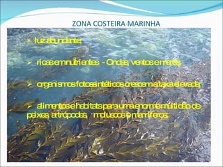 ZONA COSTEIRA MARINHA luz abundante; ricas em nutrientes  - Ondas, ventos e marés; organismos fotossintéticos crescem a taxa elevada;  alimentos e habitats para uma enorme multidão de peixes, artrópodes,  moluscos e mamíferos; 